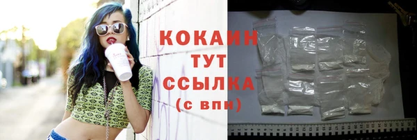 винт Богданович