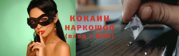 винт Богданович