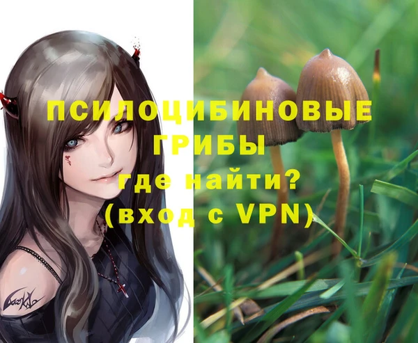 стаф Богородск