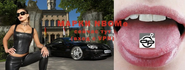 стаф Богородск