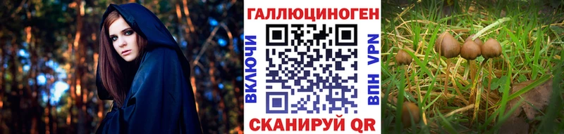 площадка клад  Котовск  Галлюциногенные грибы мухоморы  цена наркотик 